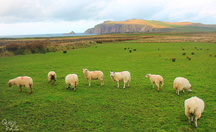 Viagem pela Irlanda
