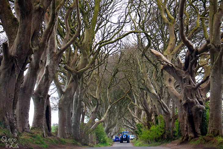 Roteiro Irlanda do Norte, The dark Edges, onde foram gravadas cenas de Game of Thrones