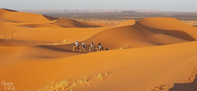 Como dormir uma noite no deserto do Saara?