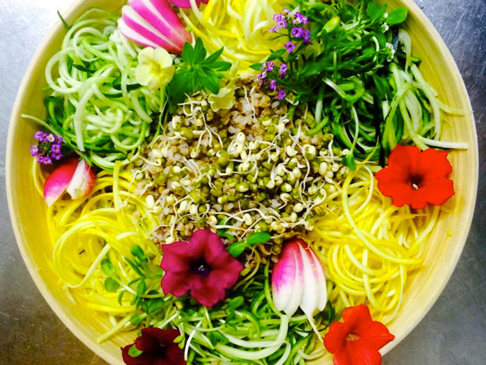 Restaurantes vegetarianos em Lisboa - Jardim dos Sentidos